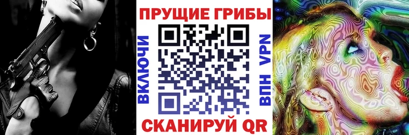 Галлюциногенные грибы мицелий  Купить где  Краснозаводск 